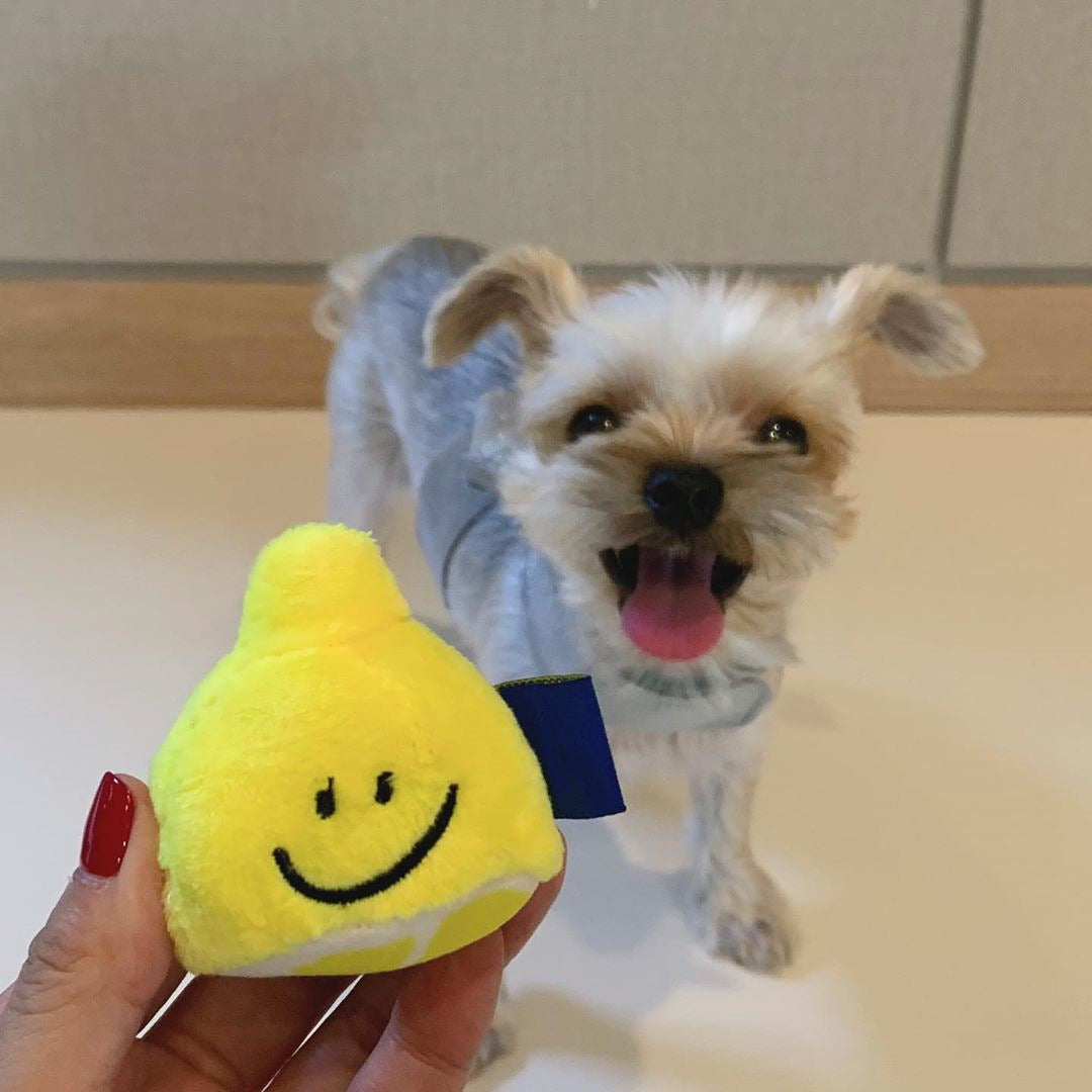 Doggy Lemonade Treat Toy