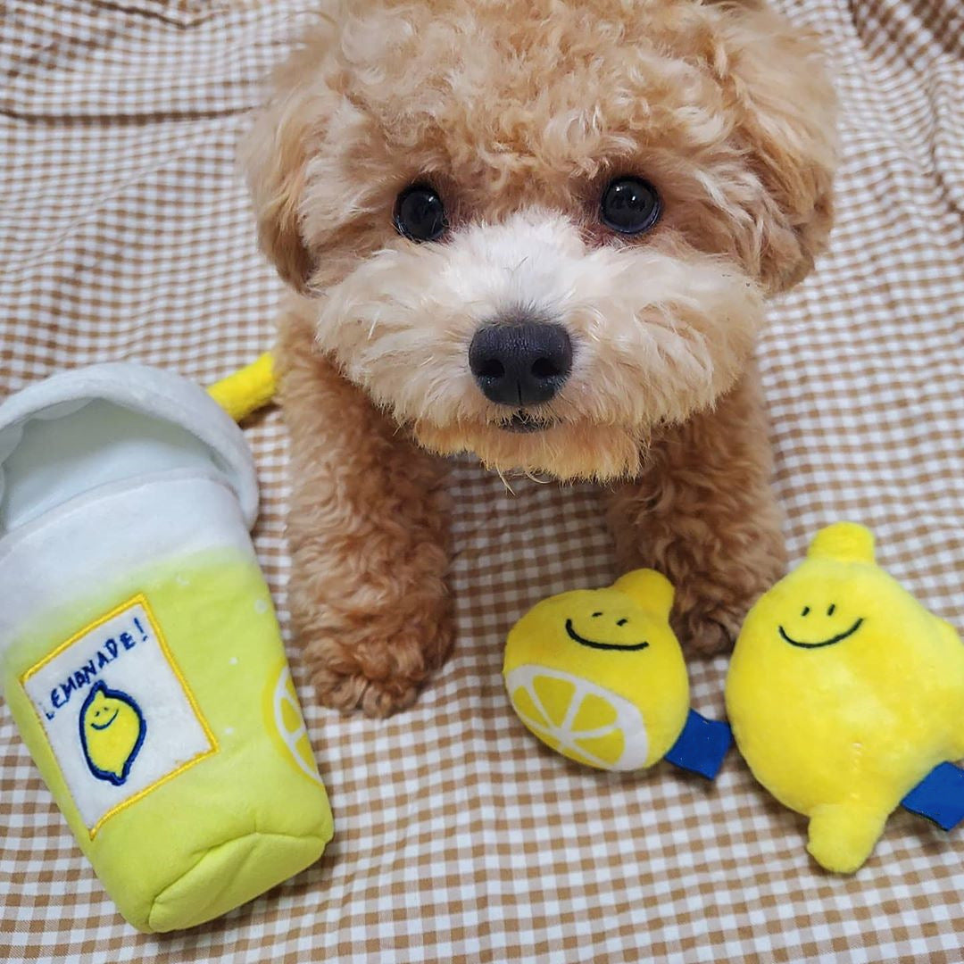 Doggy Lemonade Treat Toy