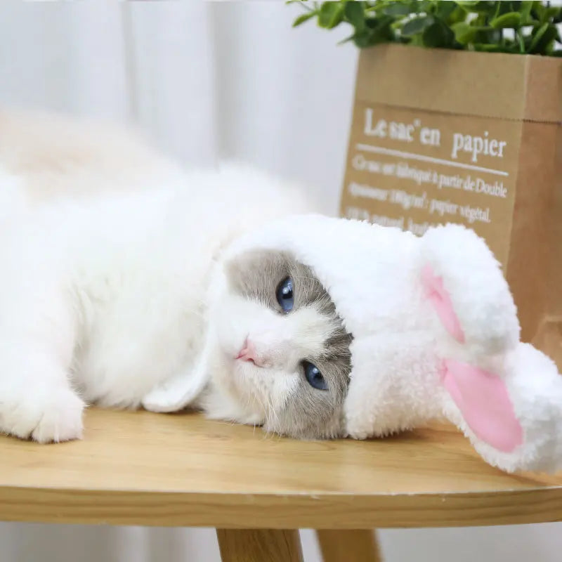 Funny Hat For Dogs Cat Accessories Pet Bunny Headgear Lovely Warm Rabbit Hat With Ears For Dogs Cats Costume Birthday Decorate