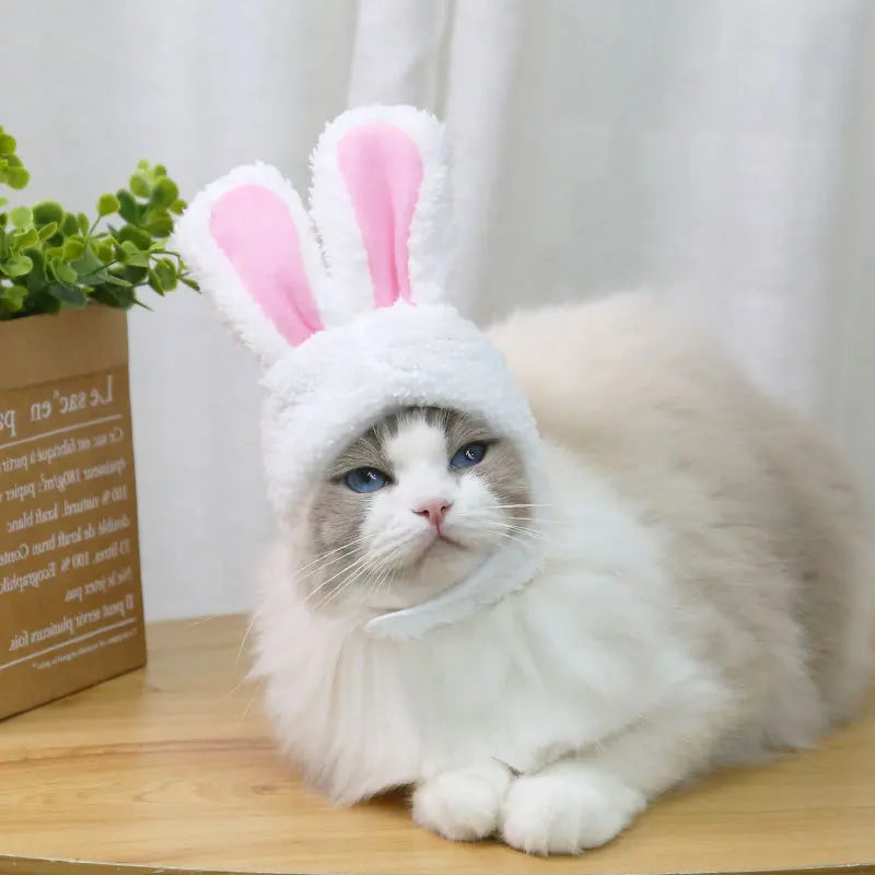 Funny Hat For Dogs Cat Accessories Pet Bunny Headgear Lovely Warm Rabbit Hat With Ears For Dogs Cats Costume Birthday Decorate