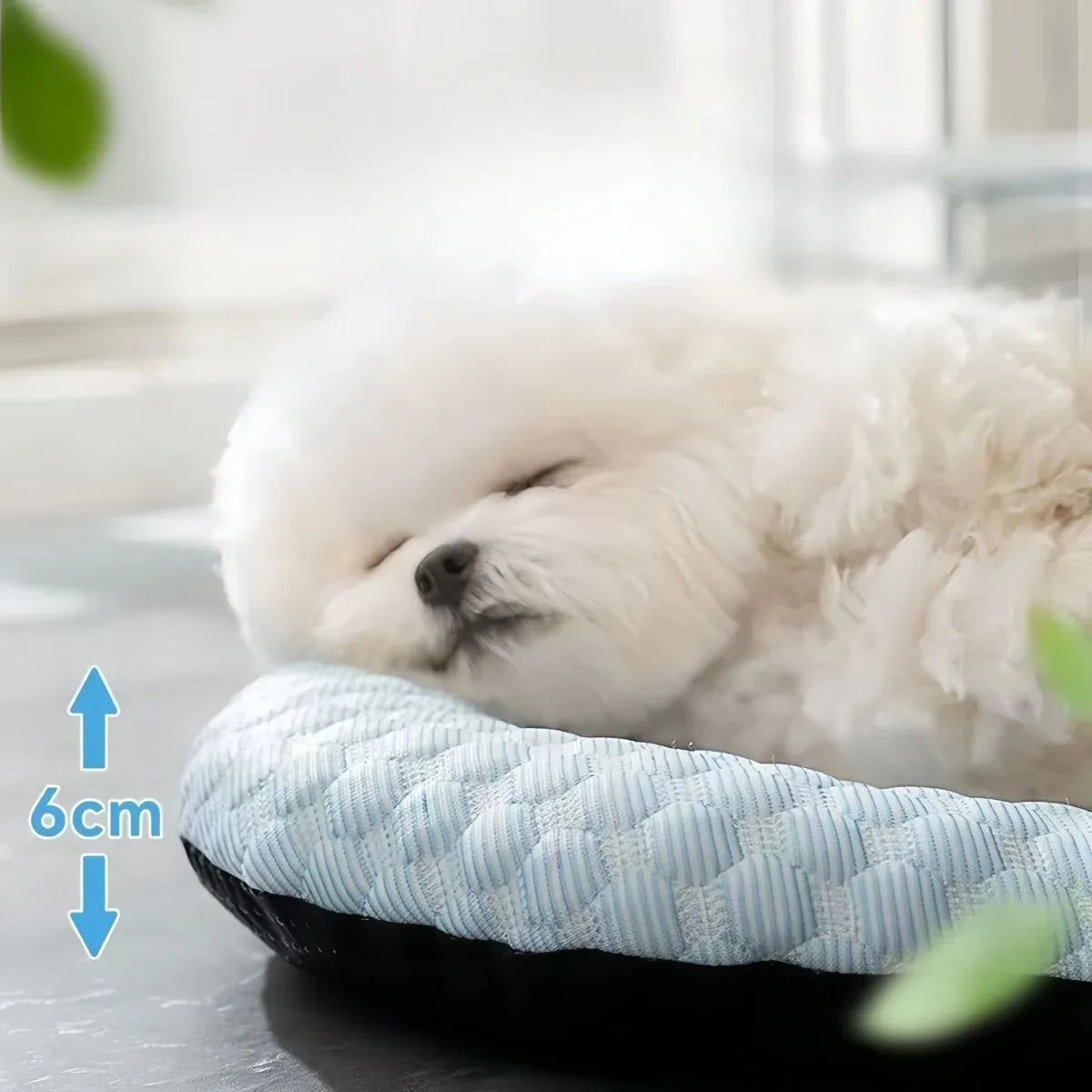 Summer Cooling Cloud Indoor Pet Mat