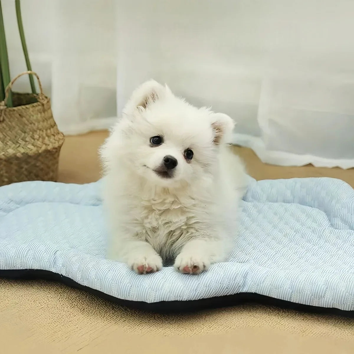 Summer Cooling Cloud Indoor Pet Mat