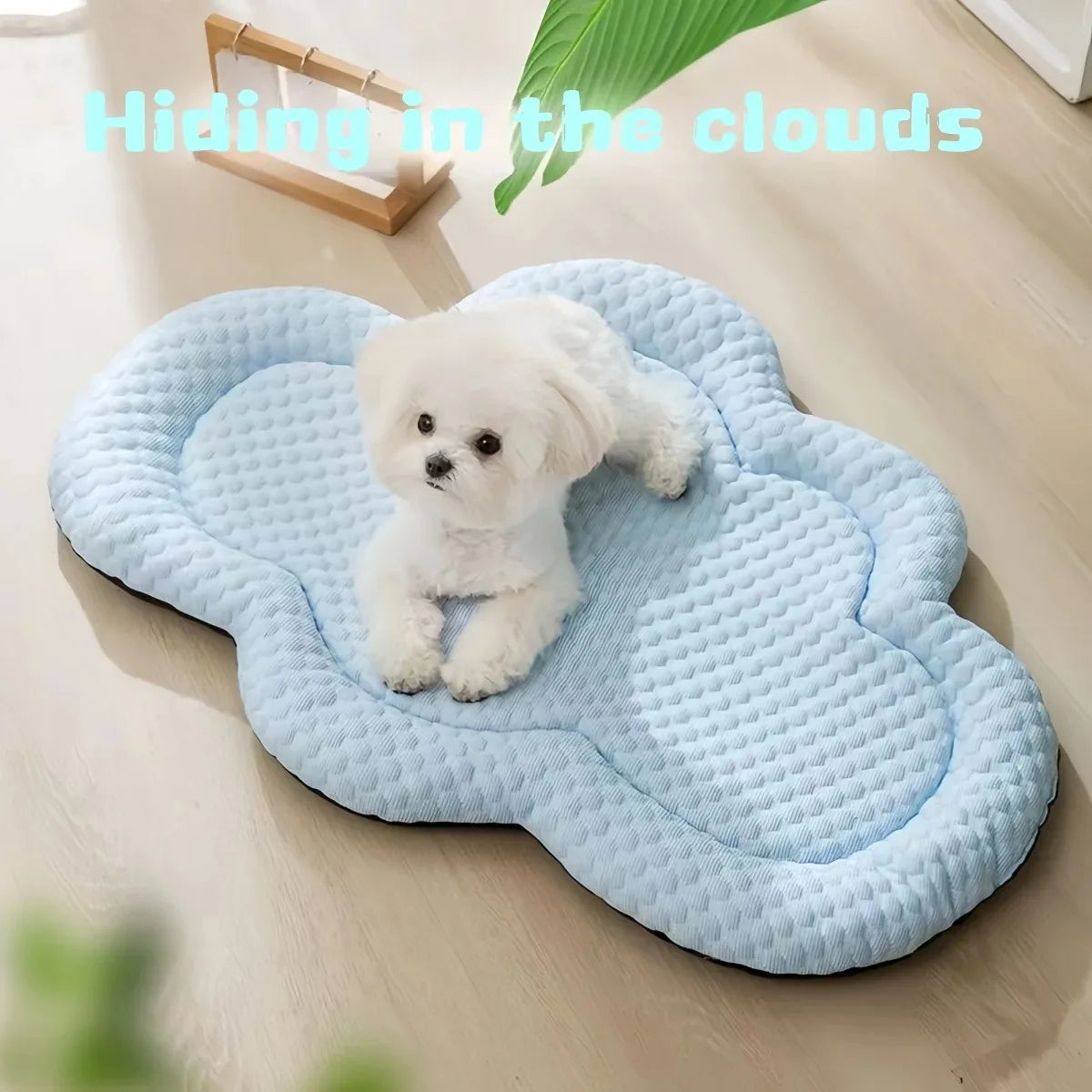Summer Cooling Cloud Indoor Pet Mat