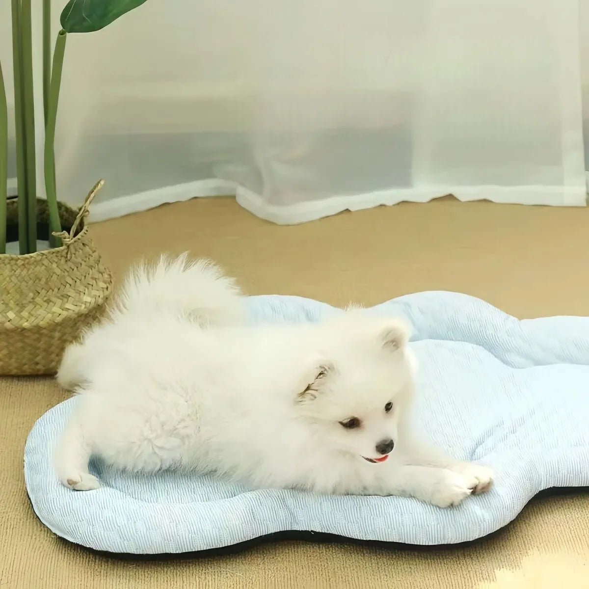 Summer Cooling Cloud Indoor Pet Mat